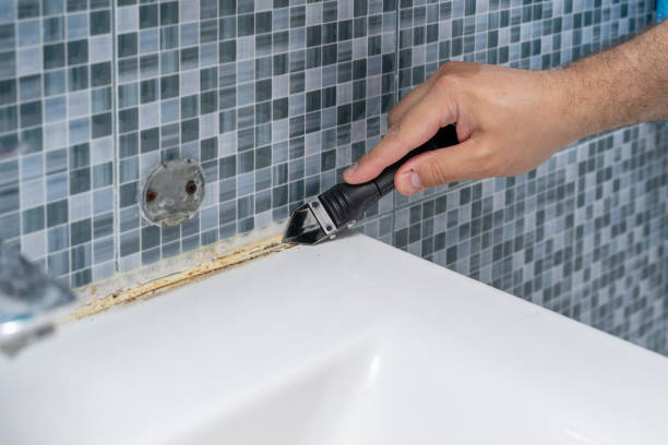 Best Professional Mold Removal  in Danville, KY